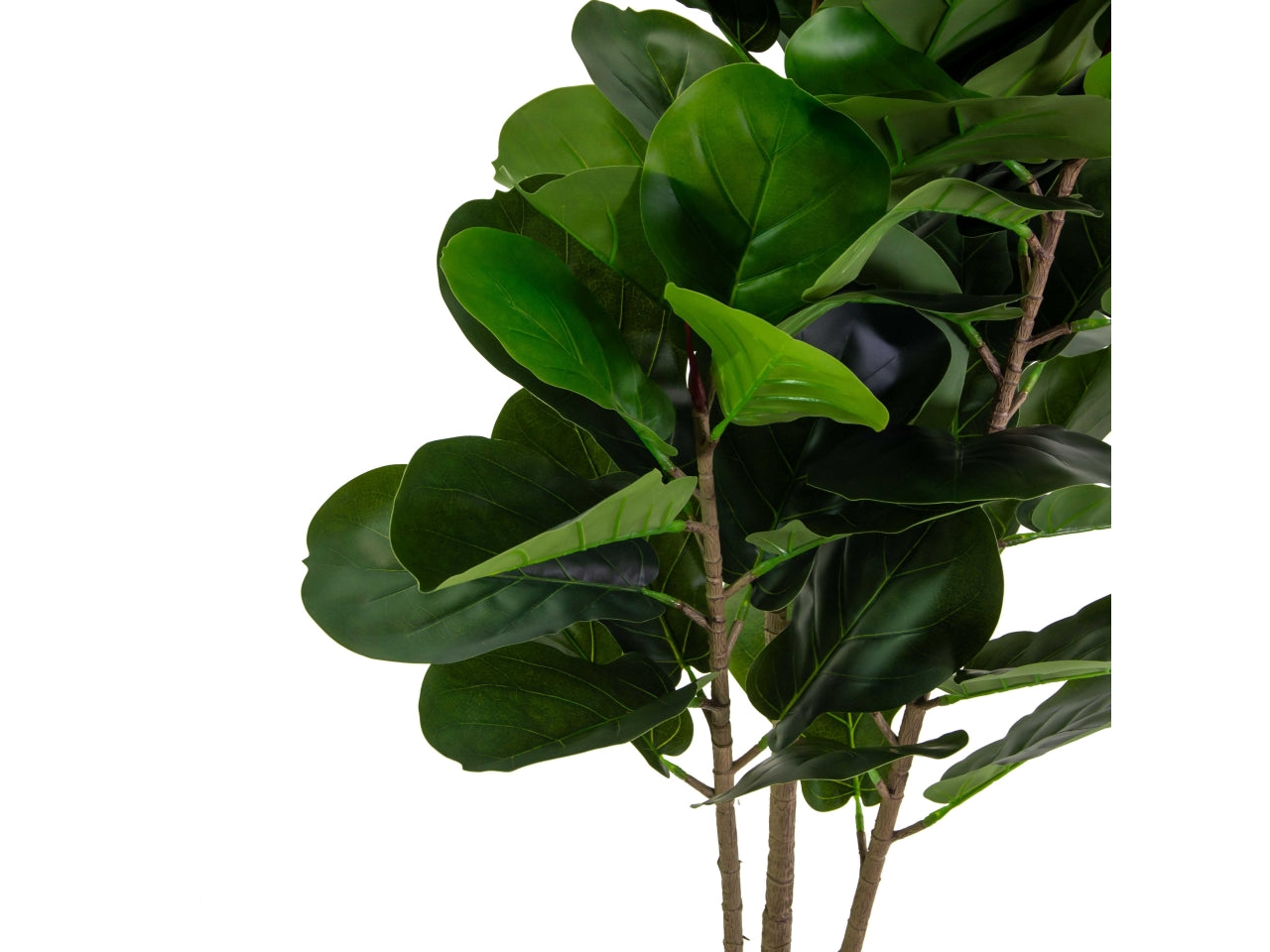 Pianta Ficus Artificiale 165 cm Real Touch – Foglie Morbide | Con Vaso