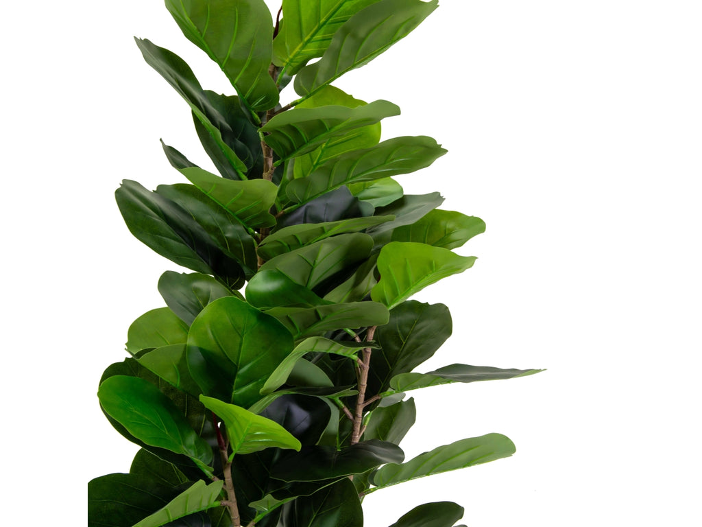 Pianta Ficus Artificiale 165 cm Real Touch – Foglie Morbide | Con Vaso