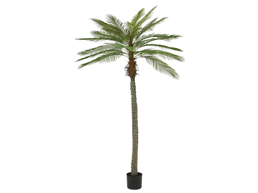 Palma Artificiale Verde 300 cm – Pianta Tropicale da Interno per Grandi Spazi