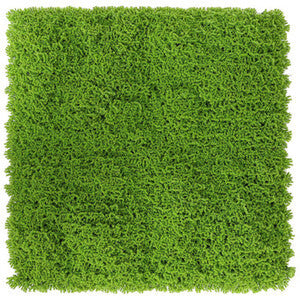 PANNELLO GREEN MUSCHIO VERDE