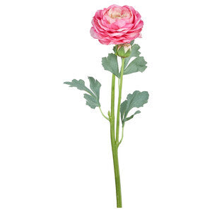 RANUNCOLO REAL TOUCH FUCSIA