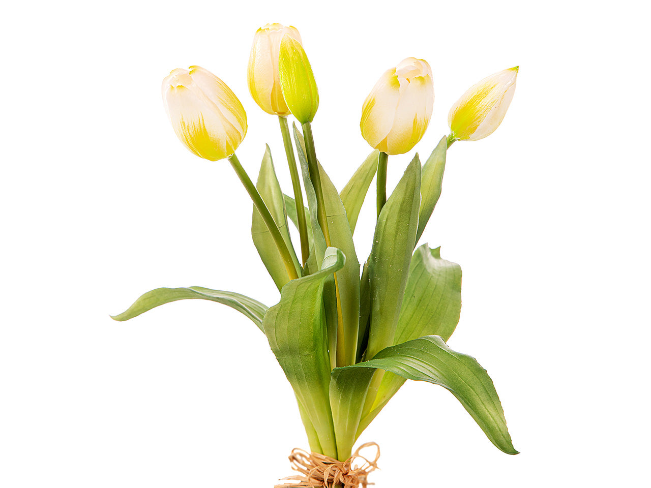 MAZZOLINO TULIPANI SILICONE BIANCO