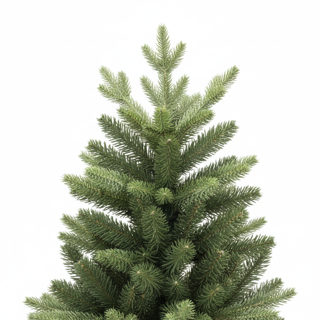 Albero Panama Semi Slim – Close-up Rami