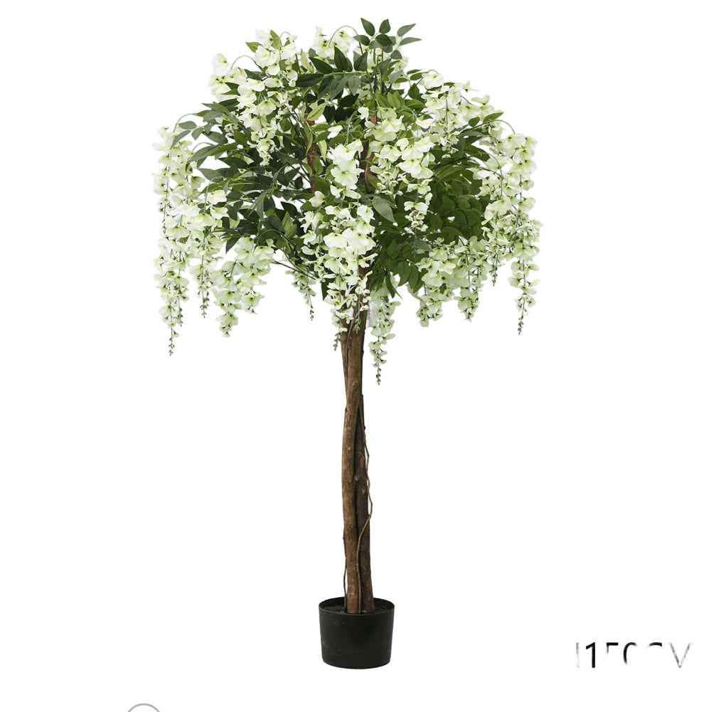 Glicine Bianco Artificiale 150 cm – 3 Tronchi in Legno Vero | Zero Manutenzione