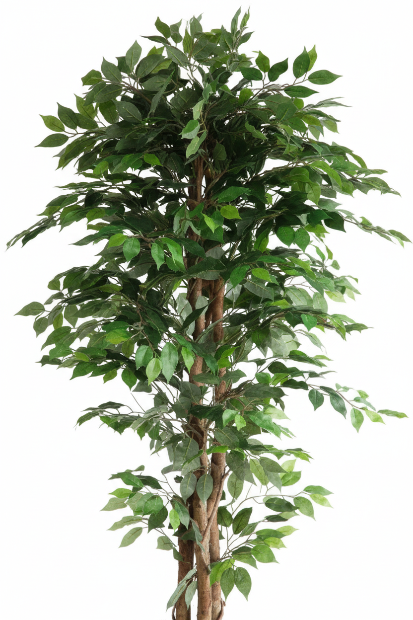 Ficus Artificiale - Primo Piano